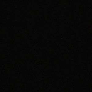 Meet your Posher, Delanie